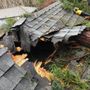 Photo of Firefighter Tree Service