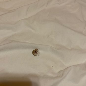Cabins USA - Here is the bandaid in the bed. - Vacation Rentals Near Me - Sevierville, Tennessee Cabins USA - Here is the bandaid in the bed. - Vacation Rentals Near Me - Sevierville, Tennessee