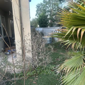 David Bahena Yard, Tree, and Home Services - Before David... - Landscaping Near Me David Bahena Yard, Tree, and Home Services - Before David... - Landscaping Near Me