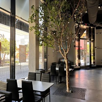 Heaven’s Kitchen - Beautiful live tree inside the restaurant! - Indian Near Me - Modesto, California