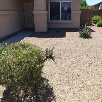 Next Level Tree Service - After - Tree Services Near Me - Glendale, Arizona