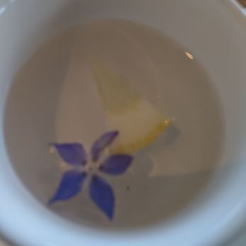 TopSail - Lovely finger bowl for tidy eating. - New Zealand Near Me - Whangarei, NTL TopSail - Lovely finger bowl for tidy eating. - New Zealand Near Me - Whangarei, NTL