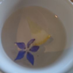 TopSail - Lovely finger bowl for tidy eating.