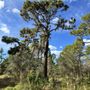 Photo of Bill Coy Preserve