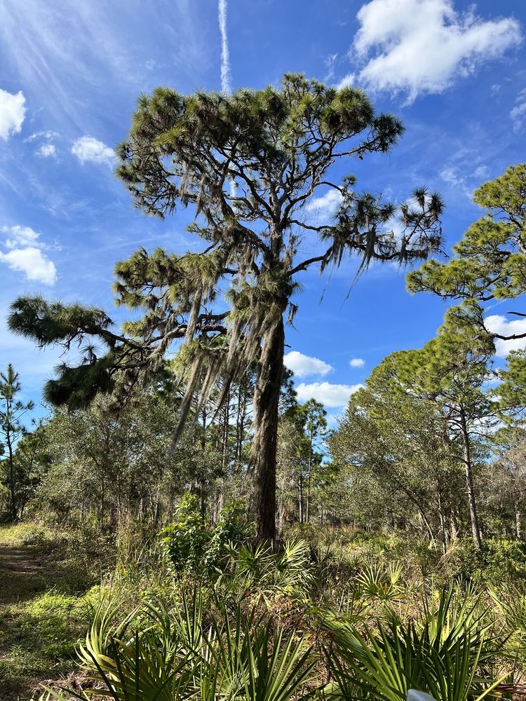 Bill Coy Preserve Image