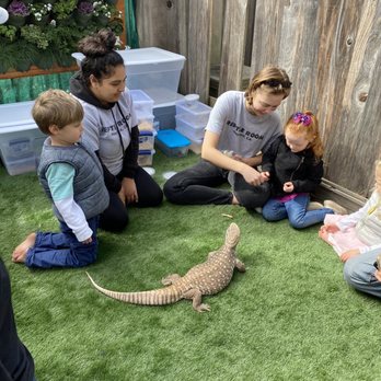 The Reptile Room - Reptile Shops Near Me - Hayward, California The Reptile Room - Reptile Shops Near Me - Hayward, California