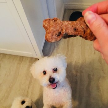 Mystic Market - Even treats for you pup! - Specialty Food Near Me - Mystic, Connecticut