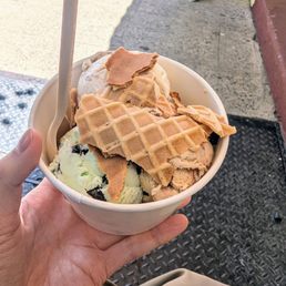 Mint Chocolate Chip