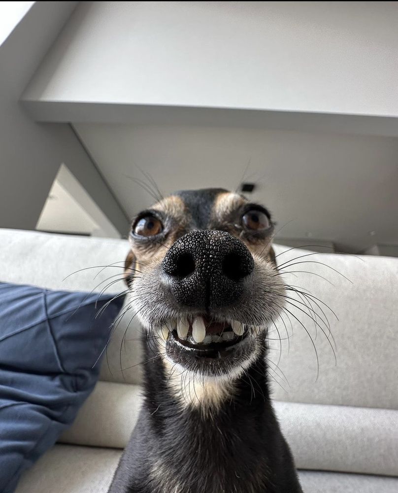 J & J TIRES AND WHEELS Updated March 2024 30 Photos & 71 Reviews