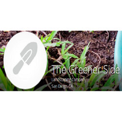 The Greener Side