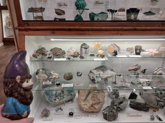 Mississippi Petrified Forest by null