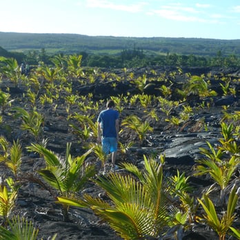 Kaimu Black Sand Beach - Beaches Near Me - Pahoa, Hawaii