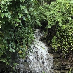 Signal Mountain - Shoal Creek on Carriage Hill Waterfall ~ 8.22.21
