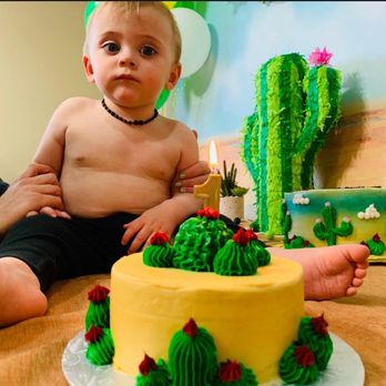 The Cake Lady - Armadillo's & Cacti - Custom Cakes Near Me - Sioux Falls, South Dakota