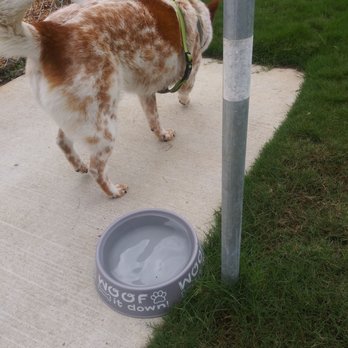 Sonic Drive-In - Freshwater drinking balls at each section of the dog park - Burgers Near Me - Brinkley, Arkansas Sonic Drive-In - Freshwater drinking balls at each section of the dog park - Burgers Near Me - Brinkley, Arkansas