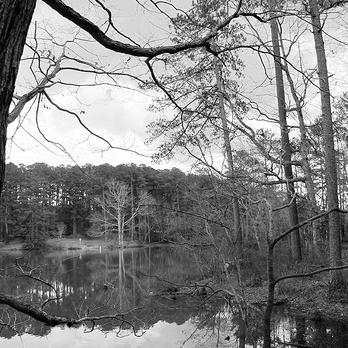 Lake Wheeler Park - Simpkins Pond - Parks Near Me - Raleigh, North Carolina Lake Wheeler Park - Simpkins Pond - Parks Near Me - Raleigh, North Carolina