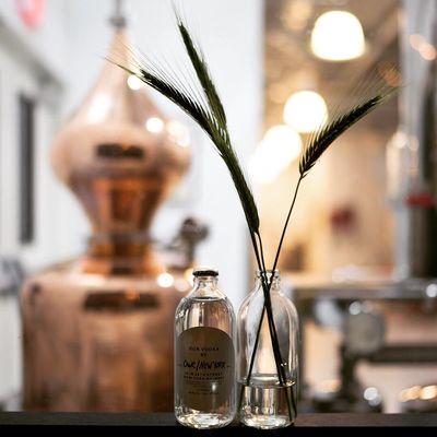 Our/New York Bar & Vodka Distillery by null