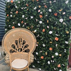 Peak Party Rentals - Wicked chair available for rent