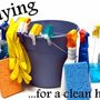 Photo of The Art of Cleaning, LLC