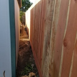 7ft Redwood Fence (and dog)