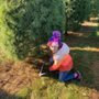 Photo of Wapsie Pines Tree Farm