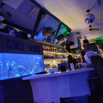 Moloko - a bar with a fish tank - Lounges Near Me - Portland, Oregon