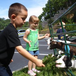The Learning Experience - Northport