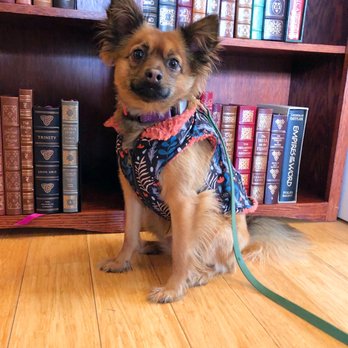 Chaparral Books - Bookstores Near Me - Portland, Oregon Chaparral Books - Bookstores Near Me - Portland, Oregon