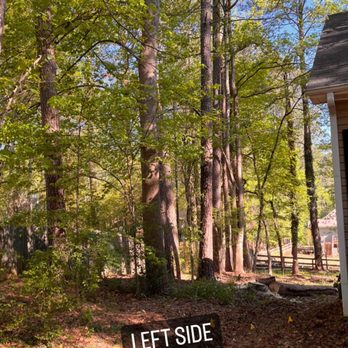 Tree Care Marietta - left side before - Tree Services Near Me Tree Care Marietta - left side before - Tree Services Near Me