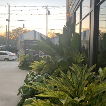The Bower - Outside - New American Near Me - New Orleans, Louisiana The Bower - Outside - New American Near Me - New Orleans, Louisiana
