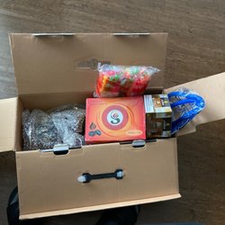100 coal, one flavor, 100 tips , one hose, one hookah