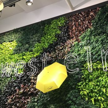 west elm - Furniture Stores Near Me - Oak Brook, Illinois