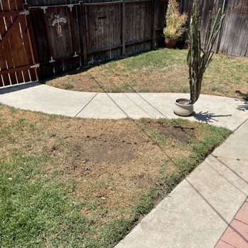 Smart Turf - The day before our install. - Artificial Turf Near Me - Santa Ana, California