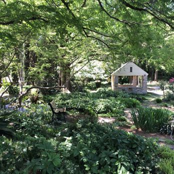 Raleigh Rose Garden - Hosta and shade plants - Community Gardens Near Me - Raleigh, North Carolina Raleigh Rose Garden - Hosta and shade plants - Community Gardens Near Me - Raleigh, North Carolina