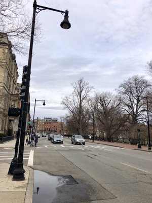 Commonwealth Avenue Mall by null