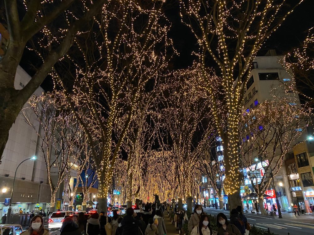 光のページェント発祥の木