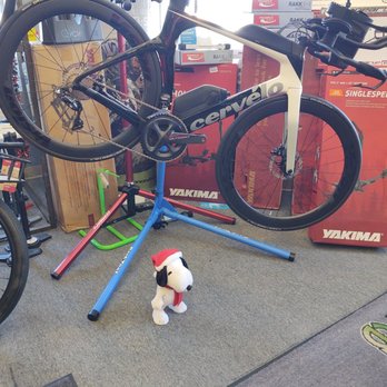 Evolve Bicycles and Ebikes - Christmas Snoopy with a bicycle - Bike Rentals Near Me - Celebration, Florida Evolve Bicycles and Ebikes - Christmas Snoopy with a bicycle - Bike Rentals Near Me - Celebration, Florida