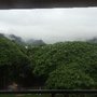 Photo of Honolulu Physical Therapy