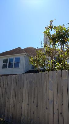 Top Tex Roofing Logo