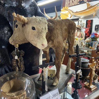 Rainy Day Revival - Antiques Near Me - Chamblee, Georgia