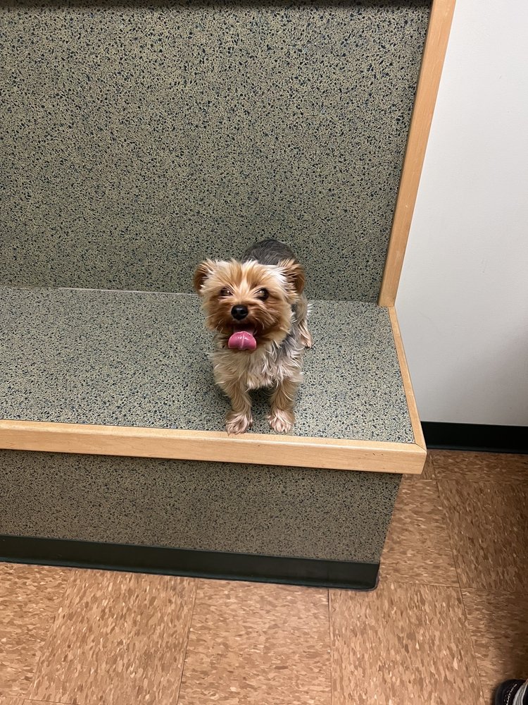 BEST CARE PET HOSPITAL Updated August 2024 24 Photos & 31 Reviews