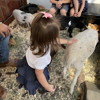Pony Ranch Parties - Petting Zoos Near Me