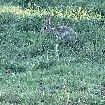 Philmont Scout Ranch - Rabbit - Hiking Near Me - Cimarron, New Mexico