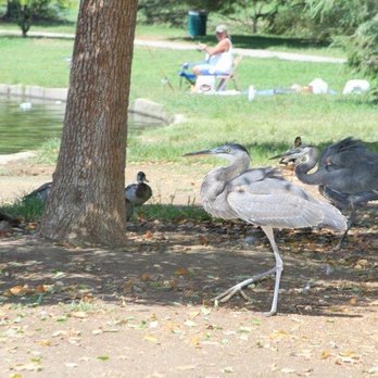 Lake Balboa/Anthony C. Beilenson Park - Parks Near Me - Van Nuys, California Lake Balboa/Anthony C. Beilenson Park - Parks Near Me - Van Nuys, California