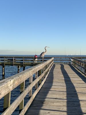 PINE GULLY PARK 52 Photos & 12 Reviews 605 Pine Gully Rd, Seabrook