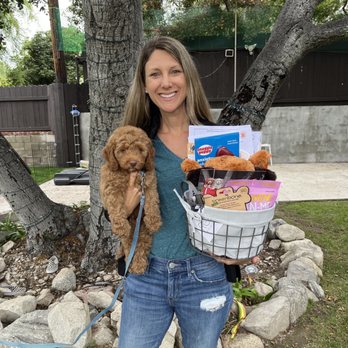 California Dulce Doodles - The day I picked up Zeb. Took him home with a basket of treats from Margie! - Pet Breeders Near Me