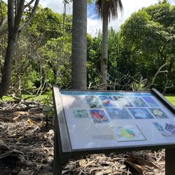 Amy Greenwell Ethnobotanical Garden