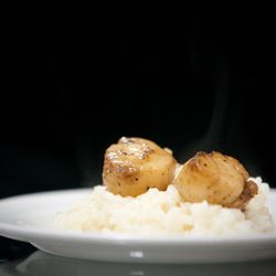Culinary Impressions