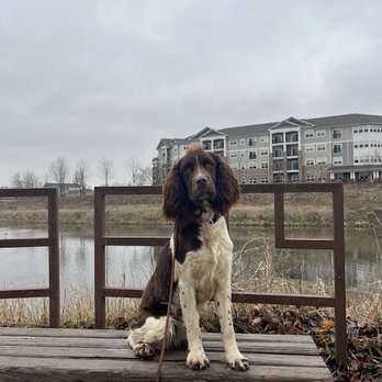 Good Dog Camp - Ida on place. - Pet Training Near Me - Rochester, Minnesota