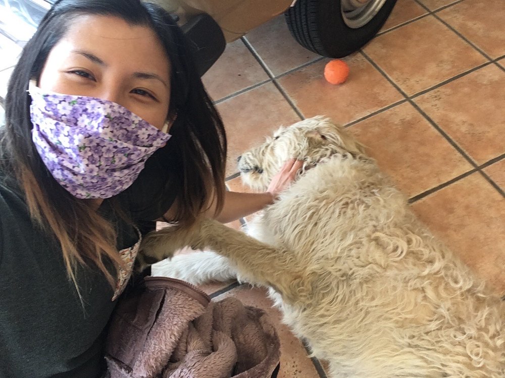 BOISE AUTO ARENA Updated April 2024 9801 W Fairview Ave, Boise